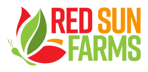 rsf logo